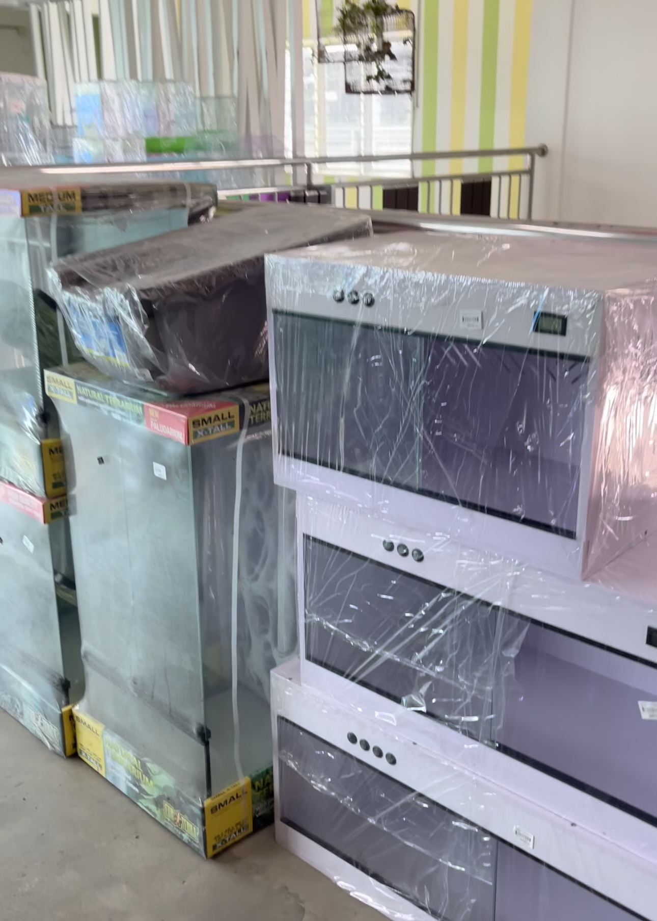 Beli Rumah Untuk Sulcata