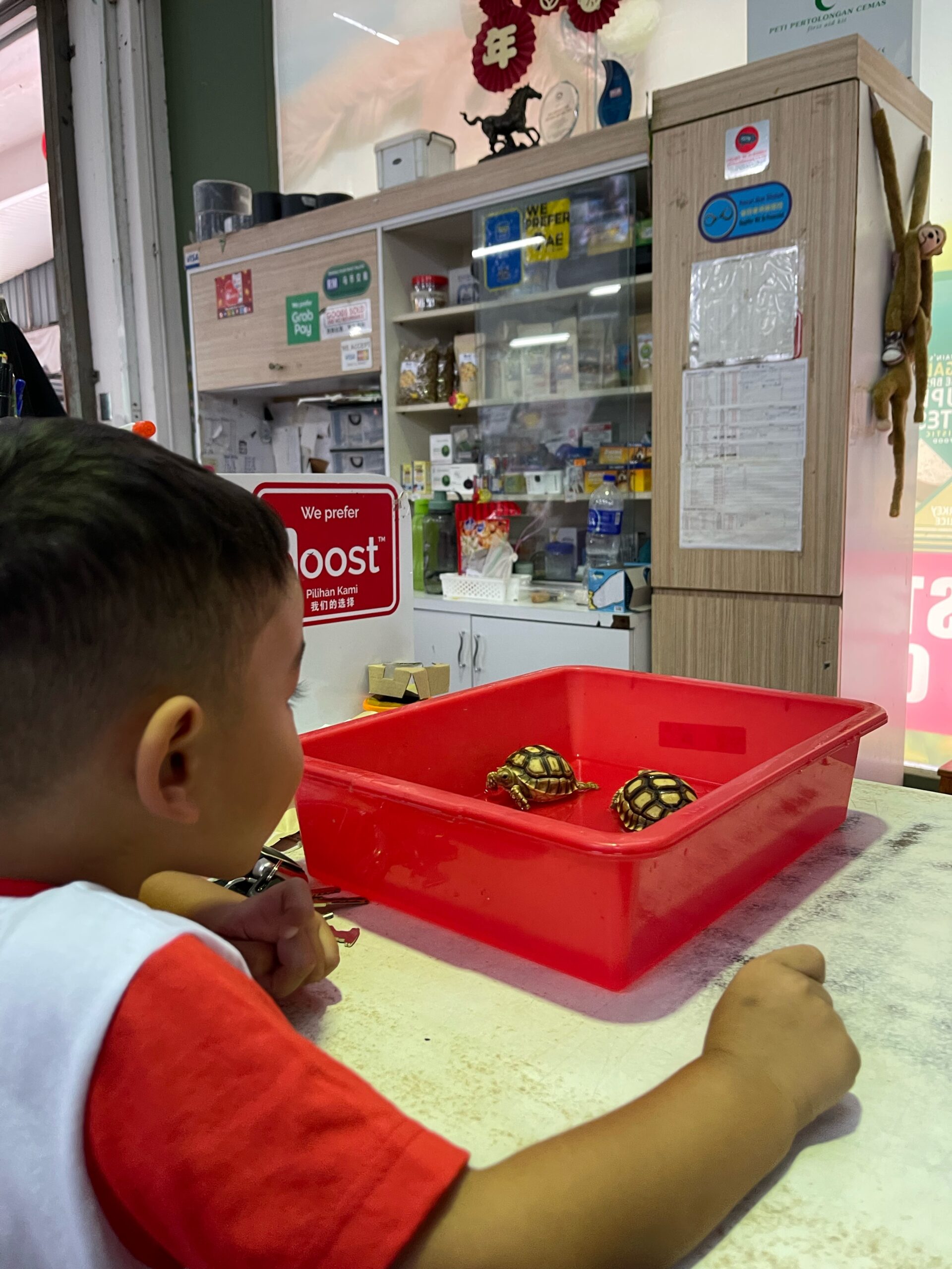 6 September 2023 Bawa Sulthan Pergi Kedai Sulcata
